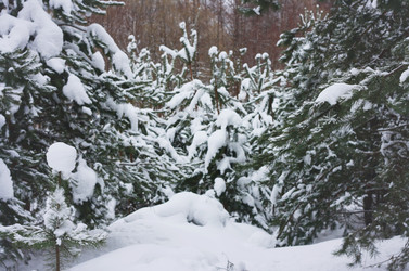 Similar image 1550028