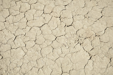 Similar image 1550043