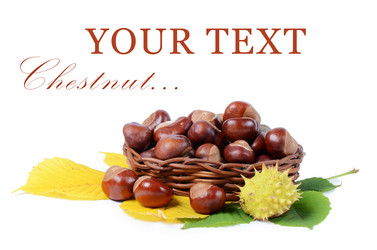 Similar image 1550067