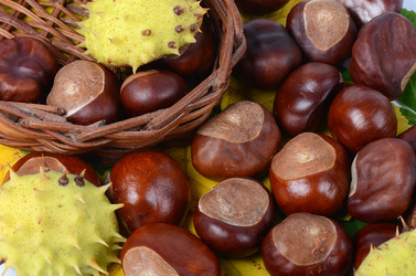 Similar image 1550075