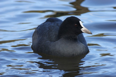 Similar image 1550076