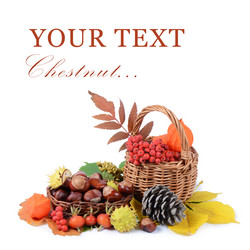 Similar image 1550079