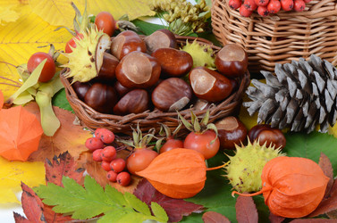 Similar image 1550090