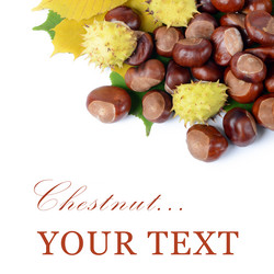 Similar image 1550093