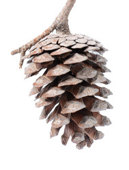 Similar image 1550094