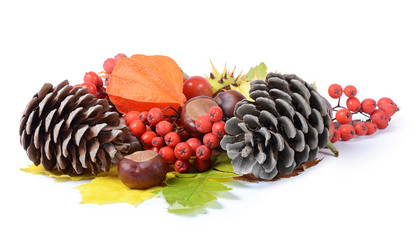 Similar image 1550095