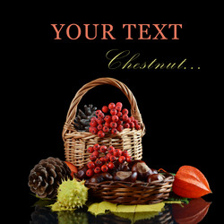 Similar image 1550096