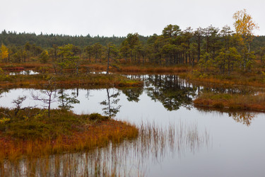 Similar image 1550115