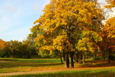 Similar image 1550117