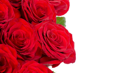 Similar image 1550134