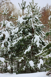 Similar image 1550154