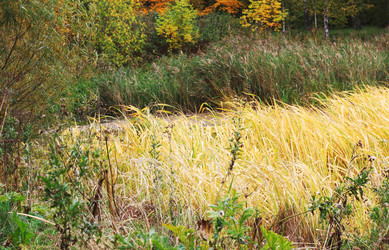 Similar image 1550155