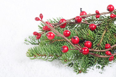 Similar image 1550166