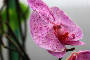 Similar image 1550220