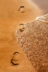 Similar image 1550480