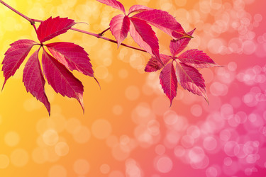 Similar image 1550494