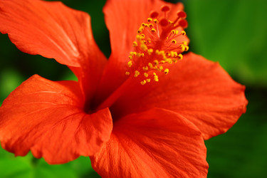 Similar image 1550496