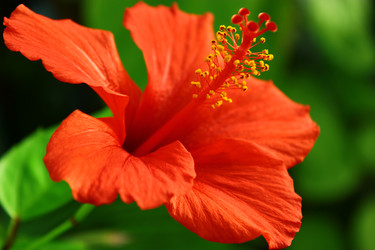 Similar image 1550497