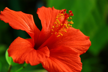 Similar image 1550498