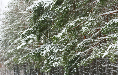 Similar image 1550743