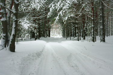 Similar image 1550747