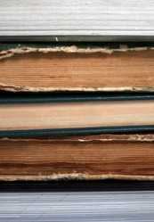 Similar image 1550950