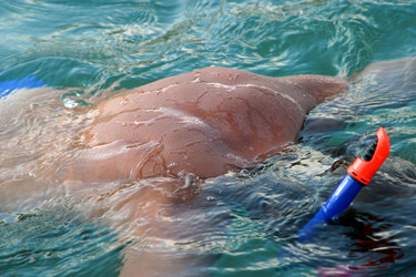 Similar image 1551249