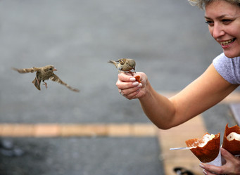 Similar image 1551538