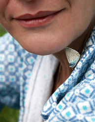 Similar image 1551539