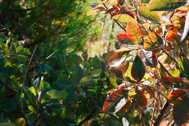 Similar image 1551588