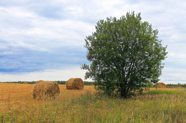 Similar image 1551643