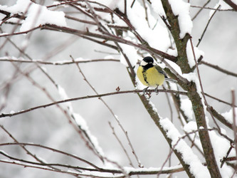 Similar image 1551644