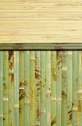 Similar image 1551647