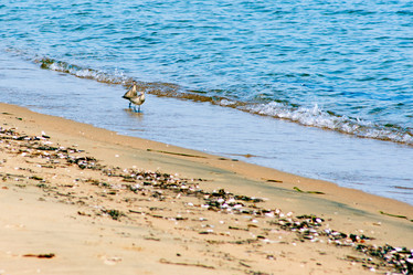 Similar image 1551657