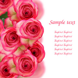 Similar image 1551831