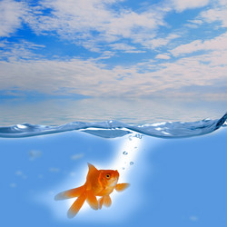 Similar image 1551832