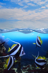 Similar image 1551836