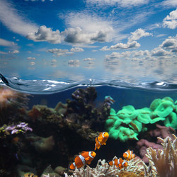 Similar image 1551838