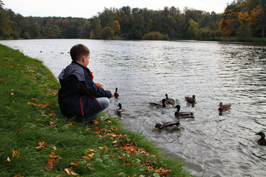 Similar image 1551840