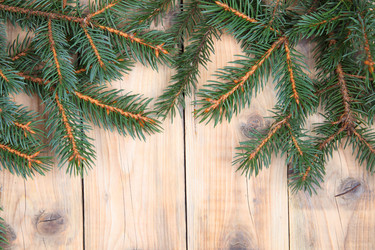 Similar image 1551843