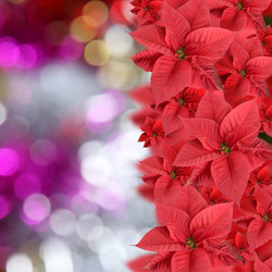 Similar image 1551844