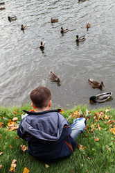 Similar image 1551845