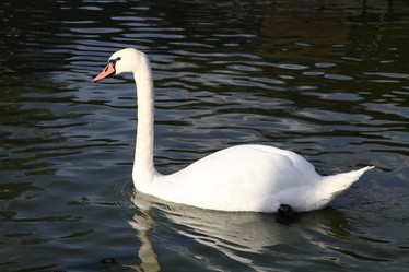 Similar image 1551846