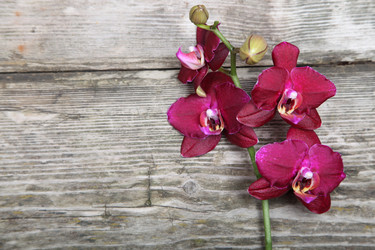 Similar image 1551872