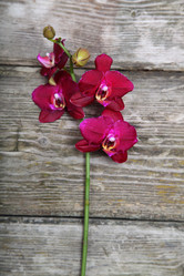 Similar image 1551873