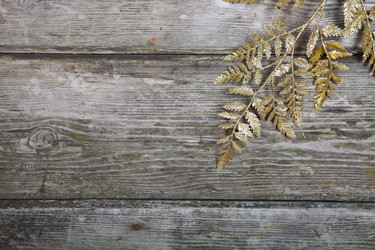 Similar image 1551875