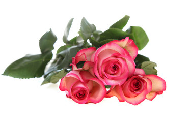 Similar image 1551894