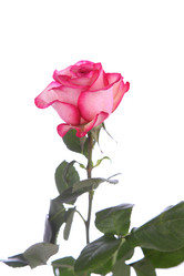 Similar image 1551898