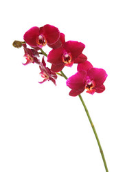 Similar image 1551918