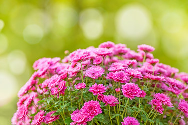 Similar image 1552154